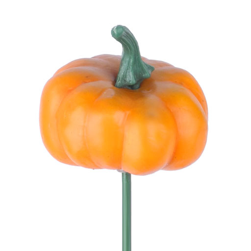 Pumpkin Pick
