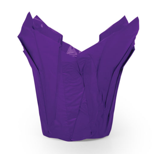 Solid BOPP Fastwrap Fastwrap - Purple
