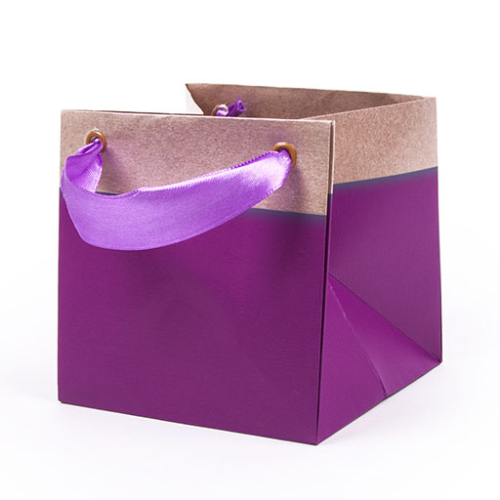 Shadow Bag - Purple