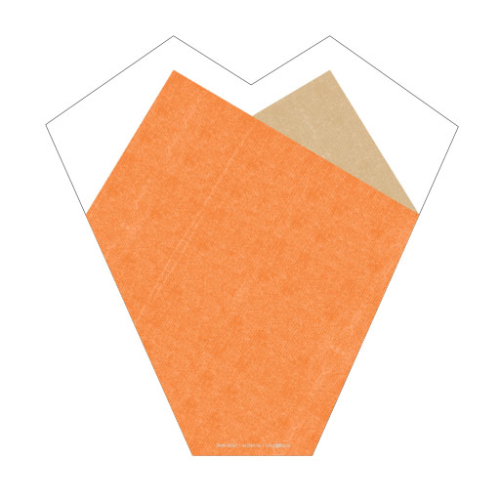 FarmFresh-Sleeve-orange-flat-web