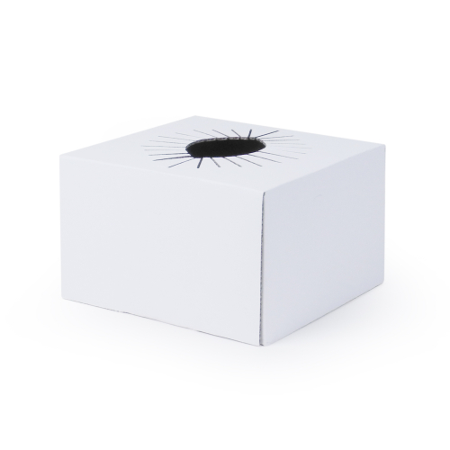 Transportation Box Box - White