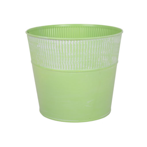 Dolly Tin Container - Lime